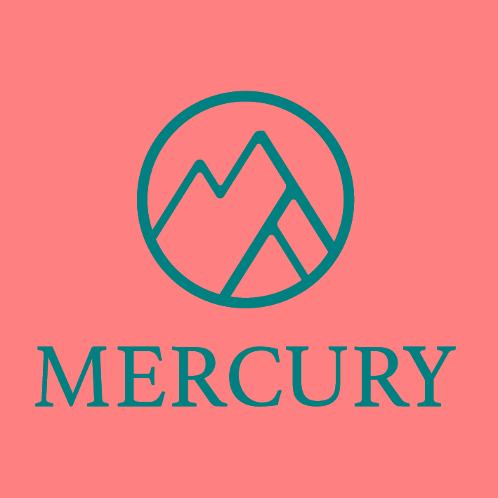 Mercury Service srls
